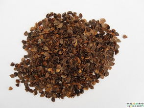 亳州輝睿中藥科技 中成藥供應(yīng)的卓越品質(zhì)與創(chuàng)新服務(wù)