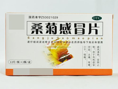 家中常備的12種風熱感冒中成藥